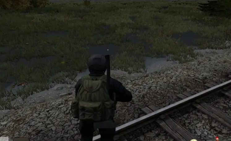 dayz